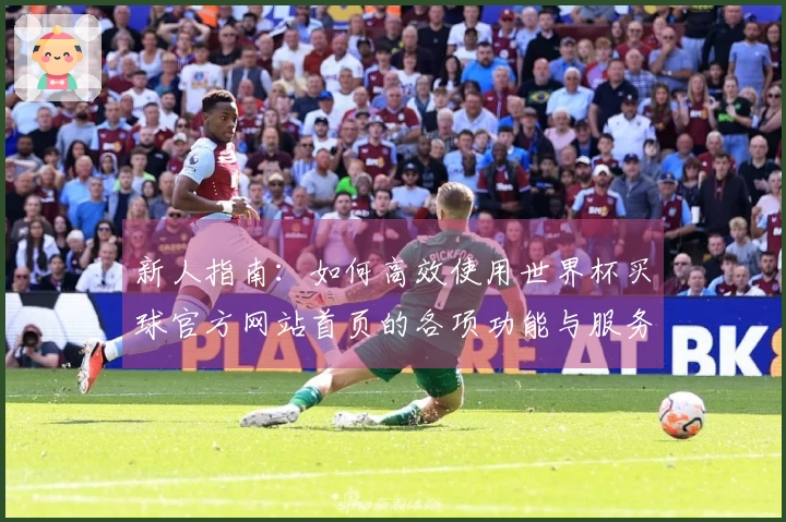 新人指南：如何高效使用世界杯买球官方网站首页的各项功能与服务