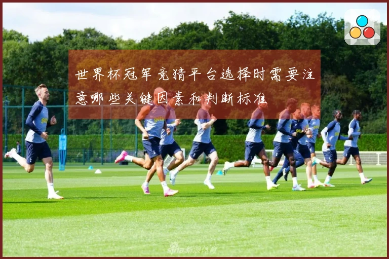 世界杯冠军竞猜平台选择时需要注意哪些关键因素和判断标准