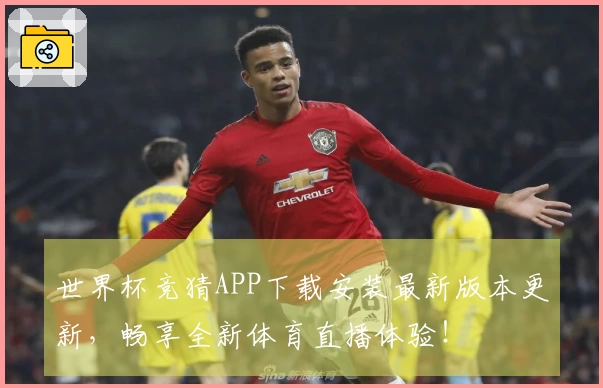 世界杯竞猜APP下载安装最新版本更新，畅享全新体育直播体验！