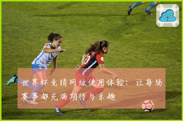 世界杯竞猜网址使用体验：让每场赛事都充满期待与乐趣