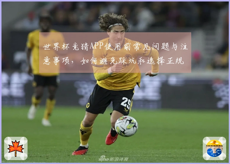 世界杯竞猜APP使用前常见问题与注意事项，如何避免踩坑和选择正规平台