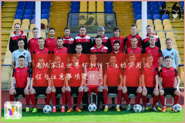 老玩家谈世界杯如何下注的实用流程与注意事项是什么