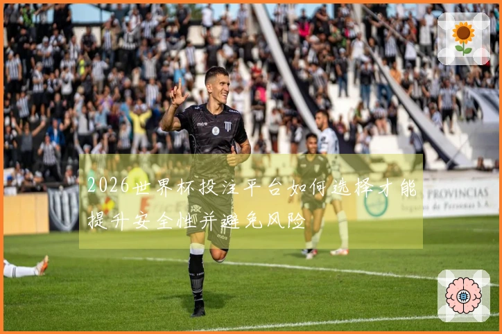 2026世界杯投注平台如何选择才能提升安全性并避免风险