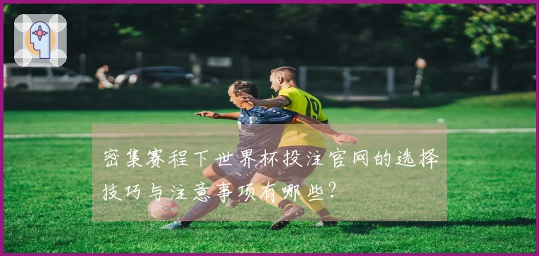 密集赛程下世界杯投注官网的选择技巧与注意事项有哪些？