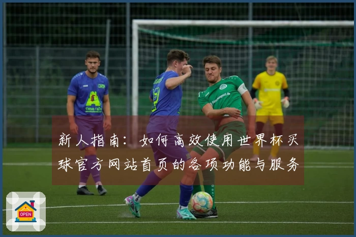 新人指南：如何高效使用世界杯买球官方网站首页的各项功能与服务