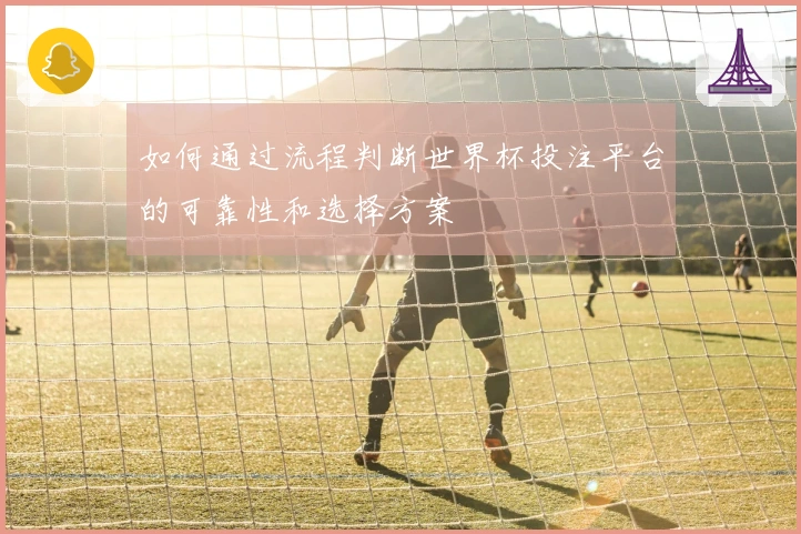 如何通过流程判断世界杯投注平台的可靠性和选择方案