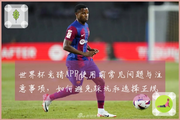 世界杯竞猜APP使用前常见问题与注意事项，如何避免踩坑和选择正规平台