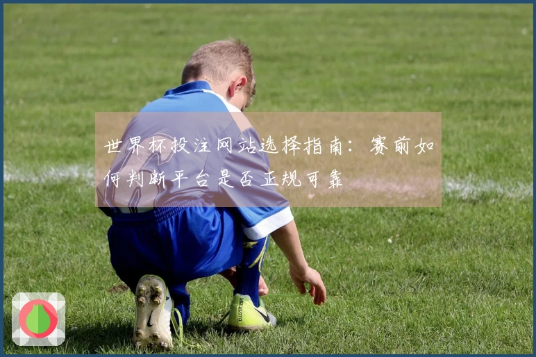 世界杯投注网站选择指南：赛前如何判断平台是否正规可靠
