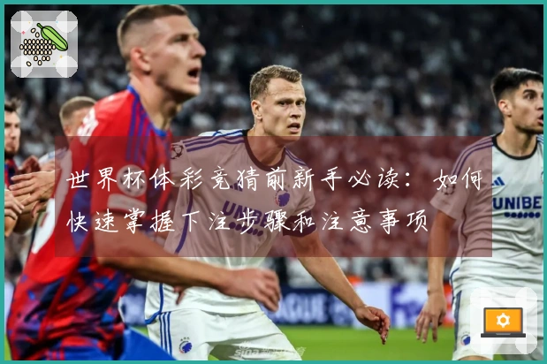 世界杯体彩竞猜前新手必读：如何快速掌握下注步骤和注意事项