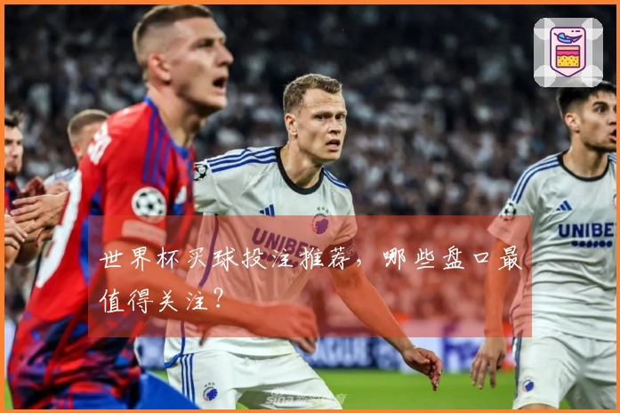 世界杯买球投注推荐，哪些盘口最值得关注？