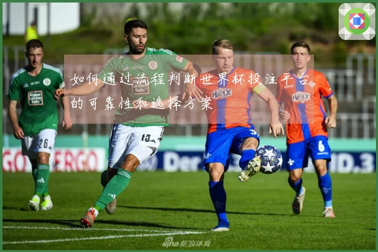 如何通过流程判断世界杯投注平台的可靠性和选择方案
