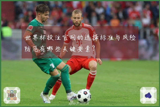 世界杯投注官网的选择标准与风险防范有哪些关键要素？
