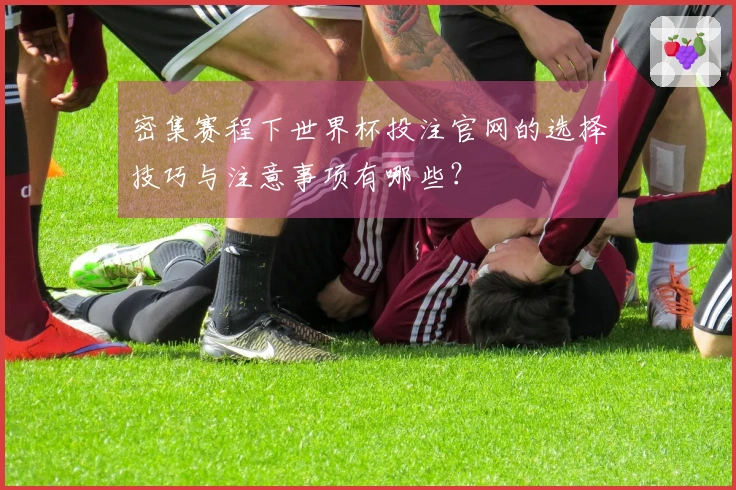 密集赛程下世界杯投注官网的选择技巧与注意事项有哪些？