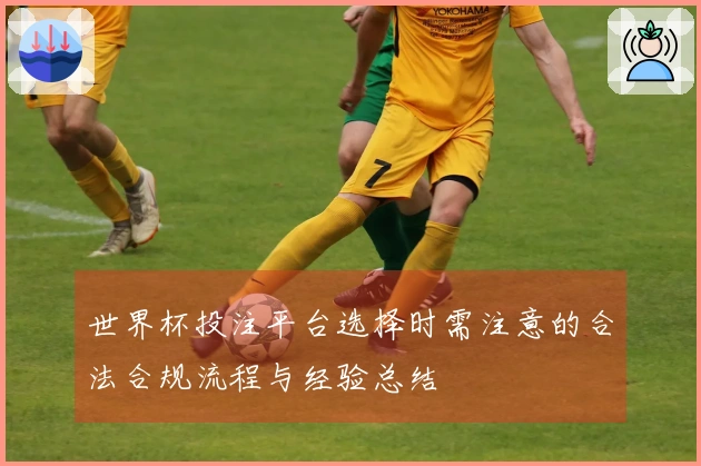 世界杯投注平台选择时需注意的合法合规流程与经验总结