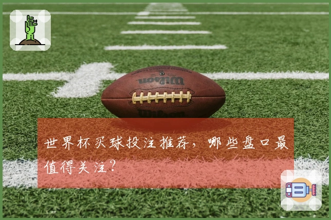 世界杯买球投注推荐，哪些盘口最值得关注？