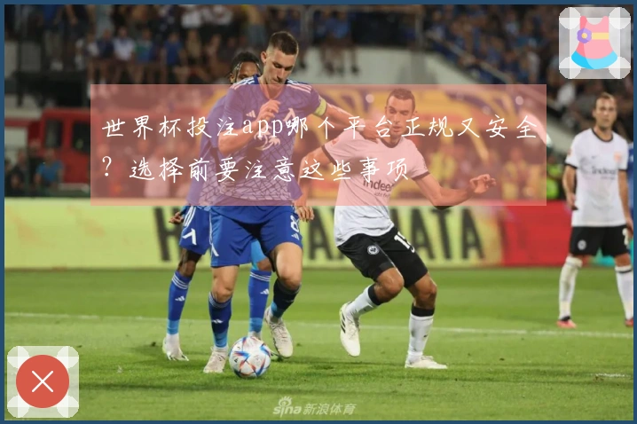 世界杯投注app哪个平台正规又安全？选择前要注意这些事项