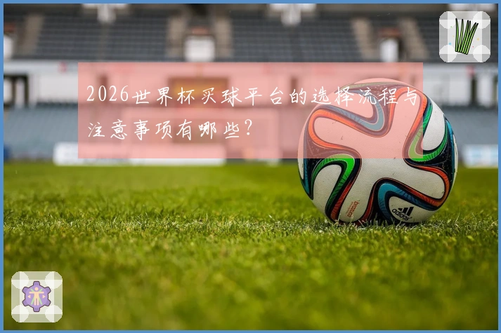 2026世界杯买球平台的选择流程与注意事项有哪些？