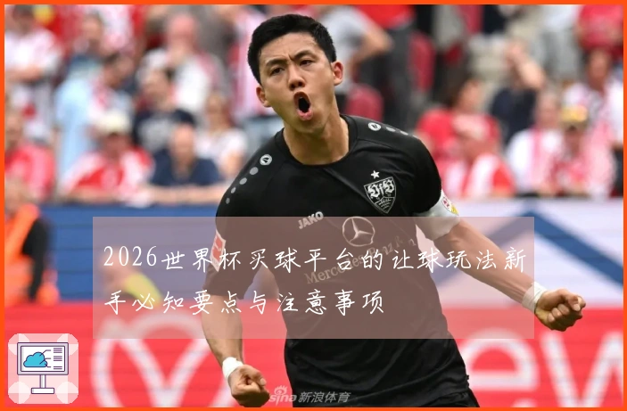 2026世界杯买球平台的让球玩法新手必知要点与注意事项