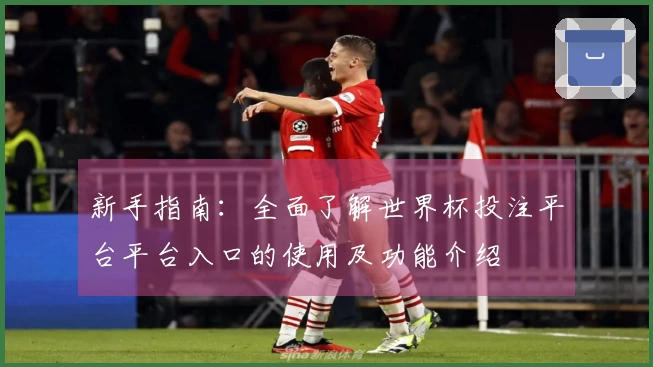 新手指南:全面了解世界杯投注平台平台入口的使用及功能介绍