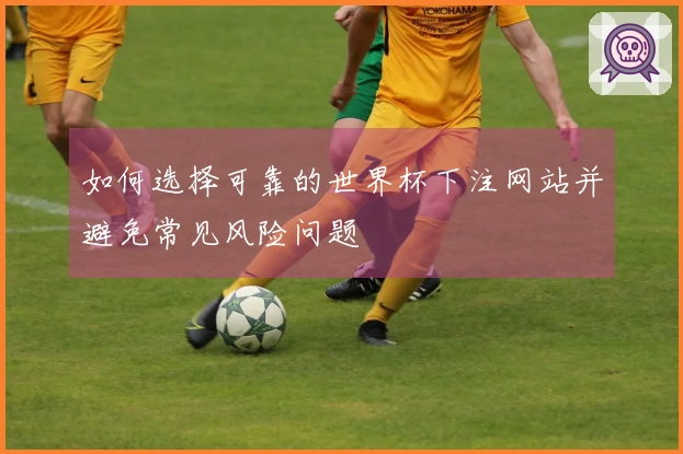 如何选择可靠的世界杯下注网站并避免常见风险问题