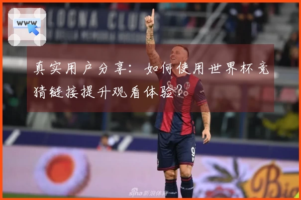 真实用户分享：如何使用世界杯竞猜链接提升观看体验？